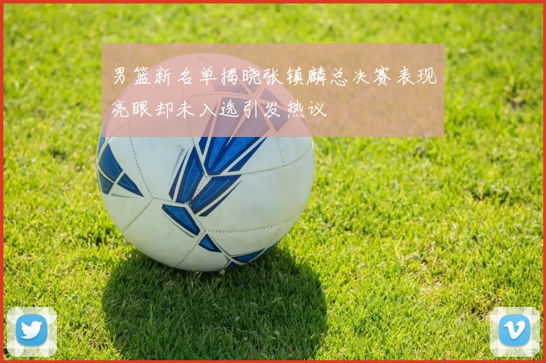 男篮新名单揭晓张镇麟总决赛表现亮眼却未入选引发热议